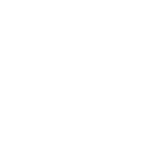 International College of Surgeons – Japan Section Workshop